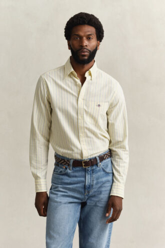 Chemise Oxford classique à rayures